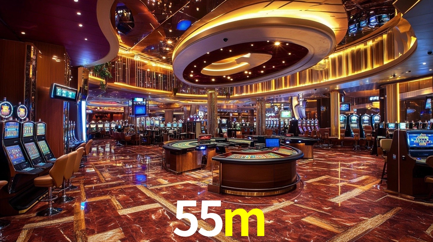 Premium Interface 55m